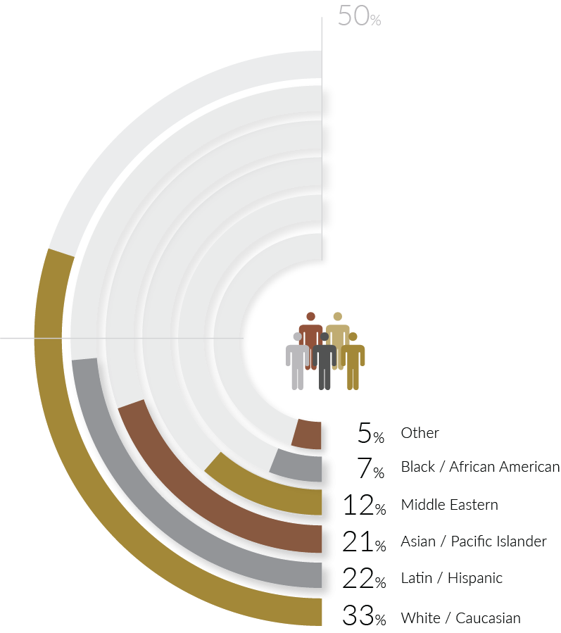 Asset 17diversity Asset 17diversity