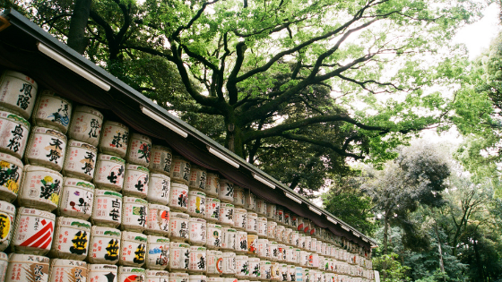 world sake day