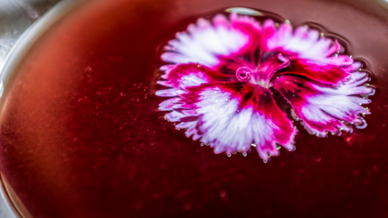 How to mix edible flowers into your favorite cocktails